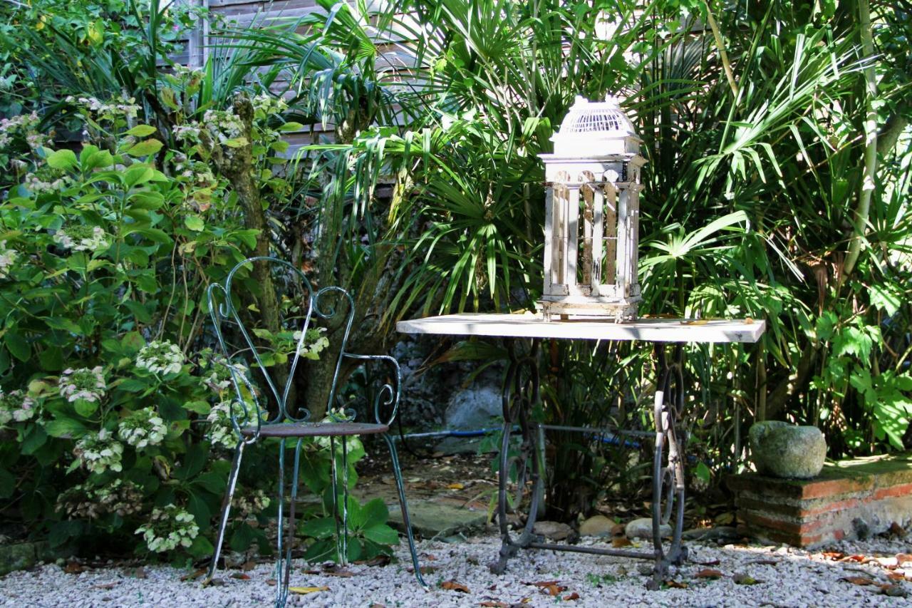 Bed and Breakfast Ombre Rose Le Fousseret Exterior foto