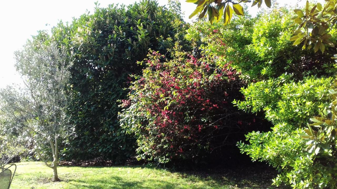 Bed and Breakfast Ombre Rose Le Fousseret Exterior foto